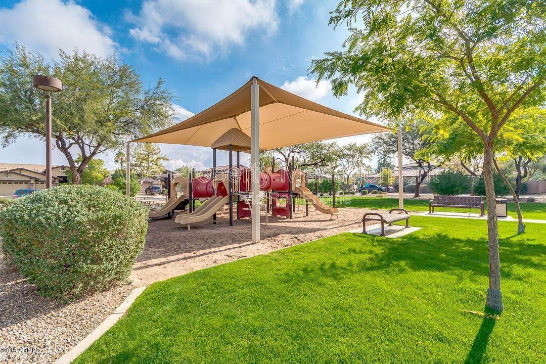 6321 S Four Peaks Pl in Chandler, AZ - Community Pool property image