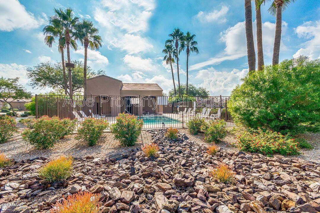 6321 S Four Peaks Pl in Chandler, AZ - Community Pool property image