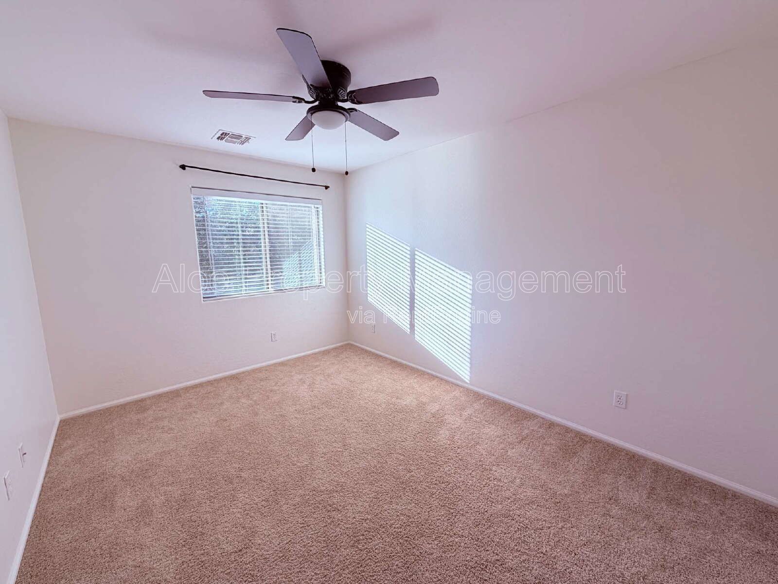 37911 North Luke Lane in Queen Creek, AZ
1/2 off FIRST months rent!! property image